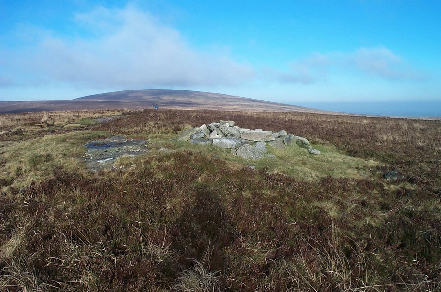 dartmoor.jpg