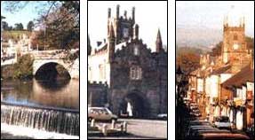 tavistock.jpg